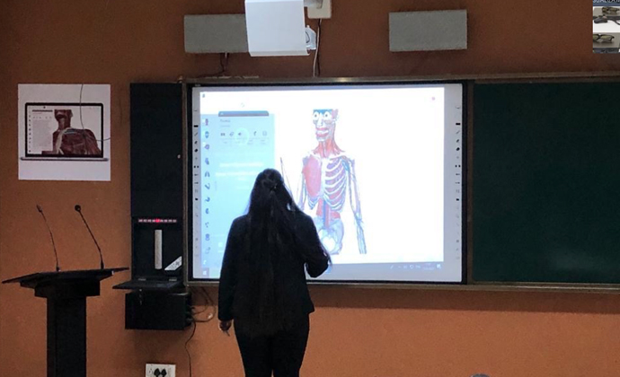3D physiology 